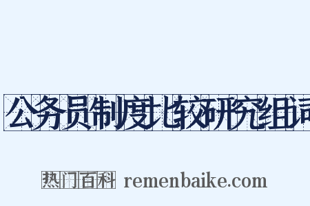 公务员制度比较研究组词是什么意思的图片